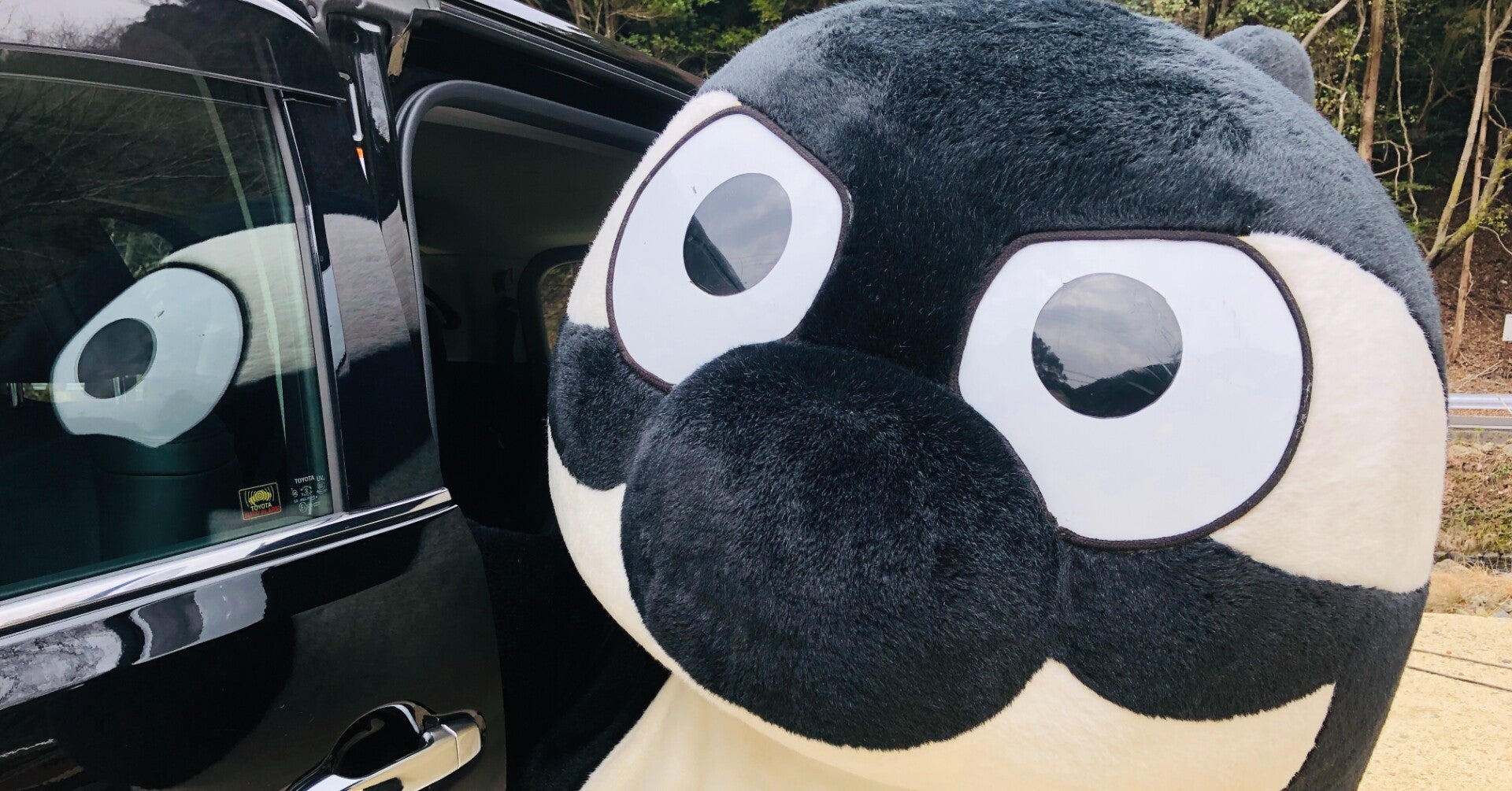 グランパスくんの秘密に迫る｜株式会社KINTO コーポレートサイト