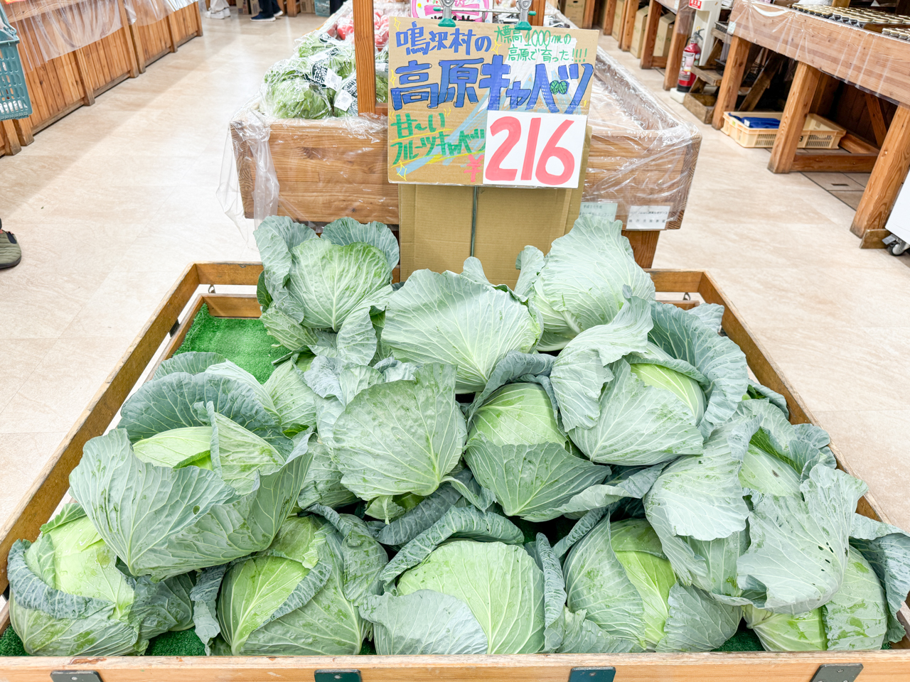 キャベツの写真