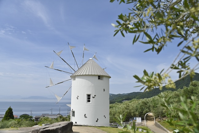 フェリーで行く！小豆島のオリーブ園巡りとエンジェルロード、ランチを満喫するおすすめ１日ドライブコース