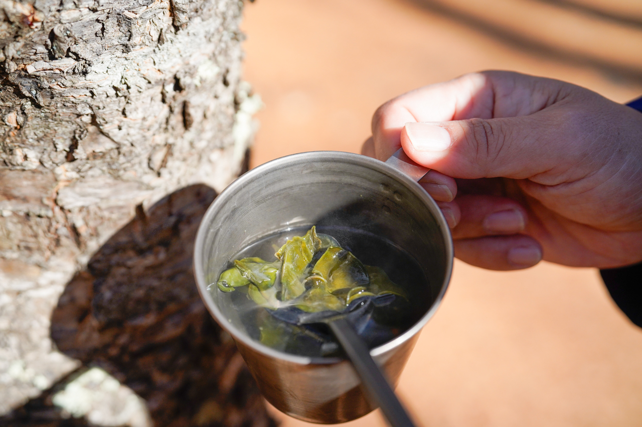 芽かぶ茶(松木海草株式会社)