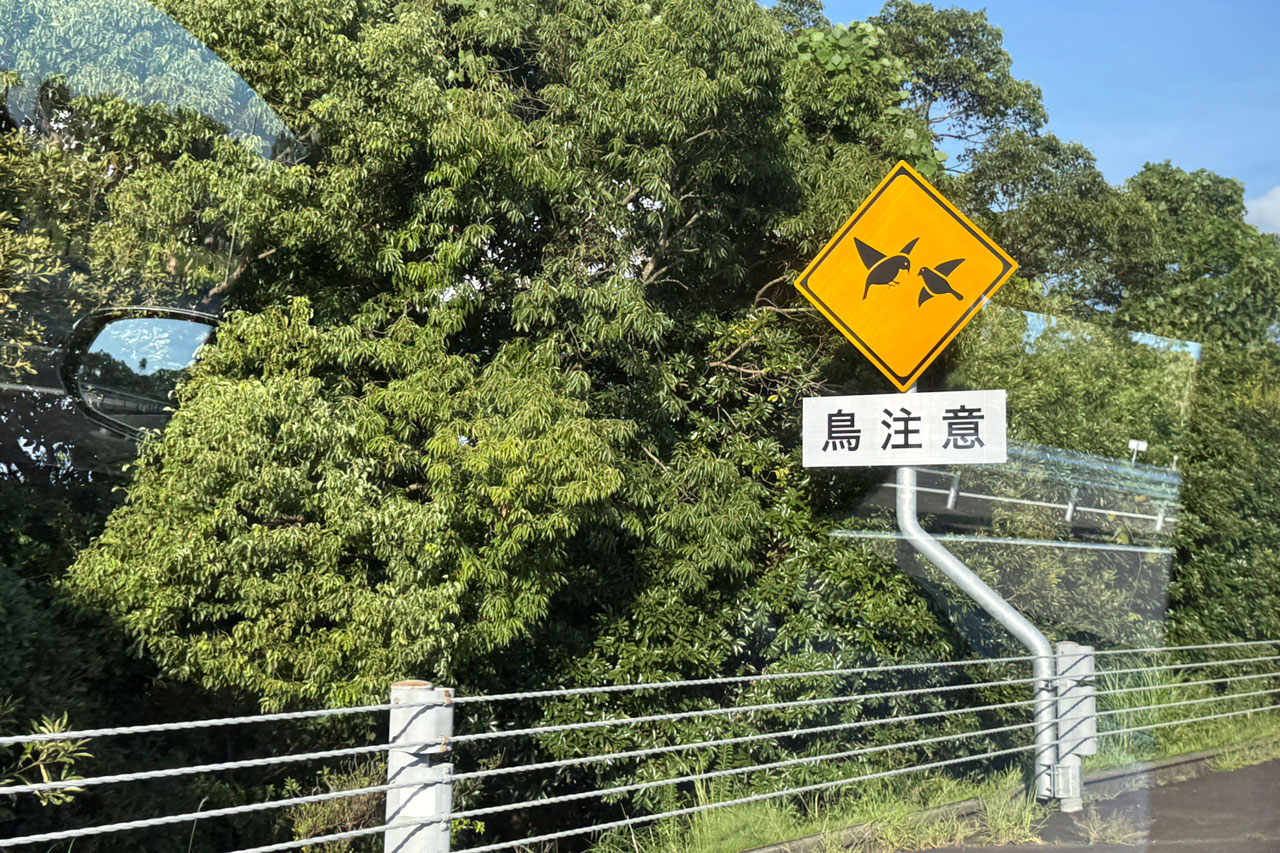 鳥注意の看板