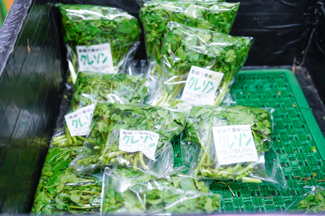 クレソンの写真