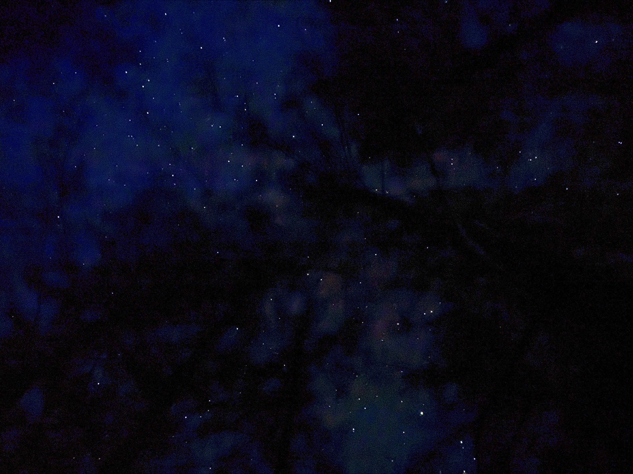 満天の星空①