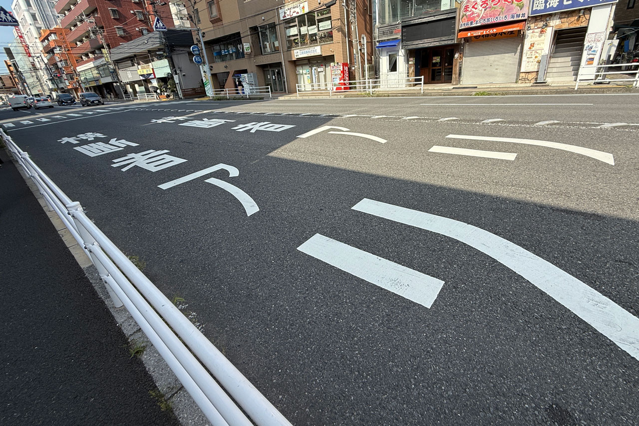 千葉県浦安市「横断者アリ」