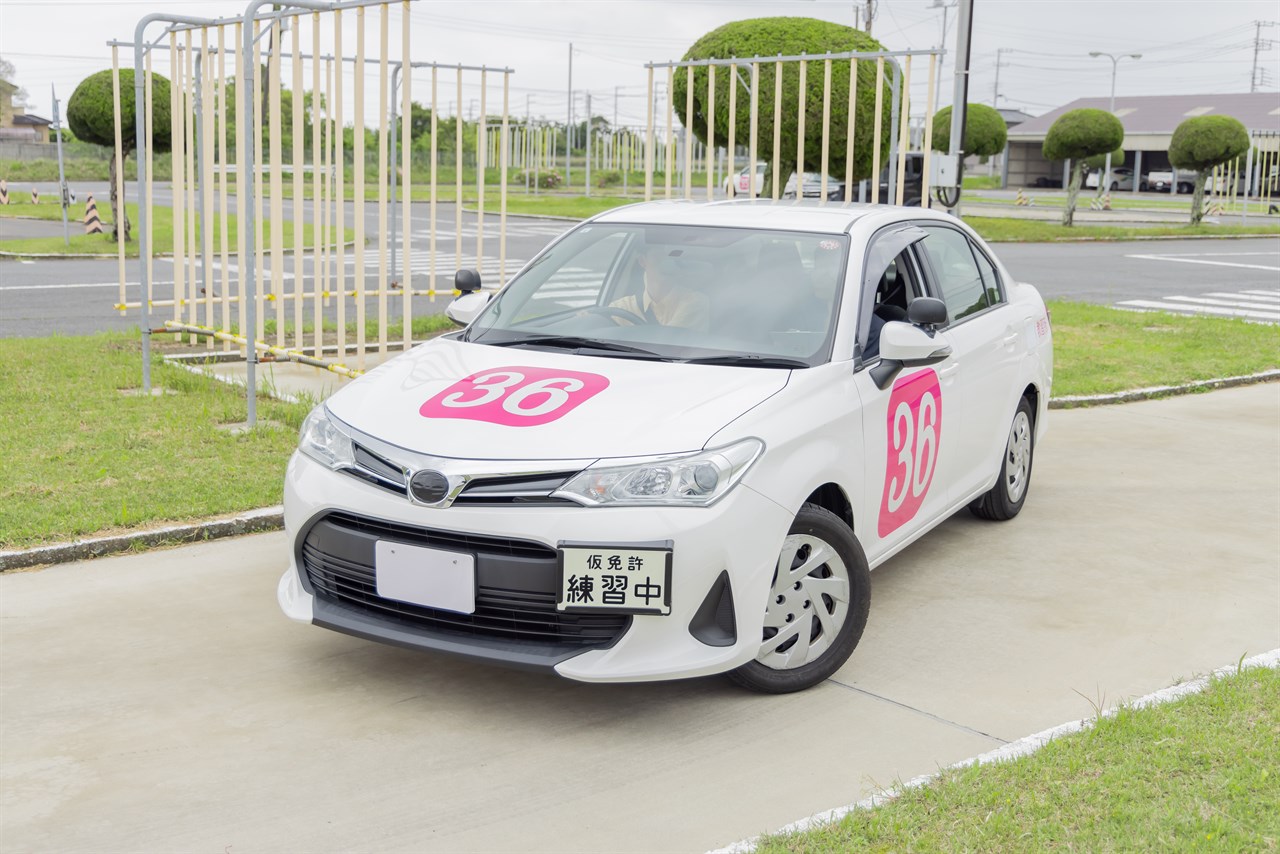 教習所での車庫入れ