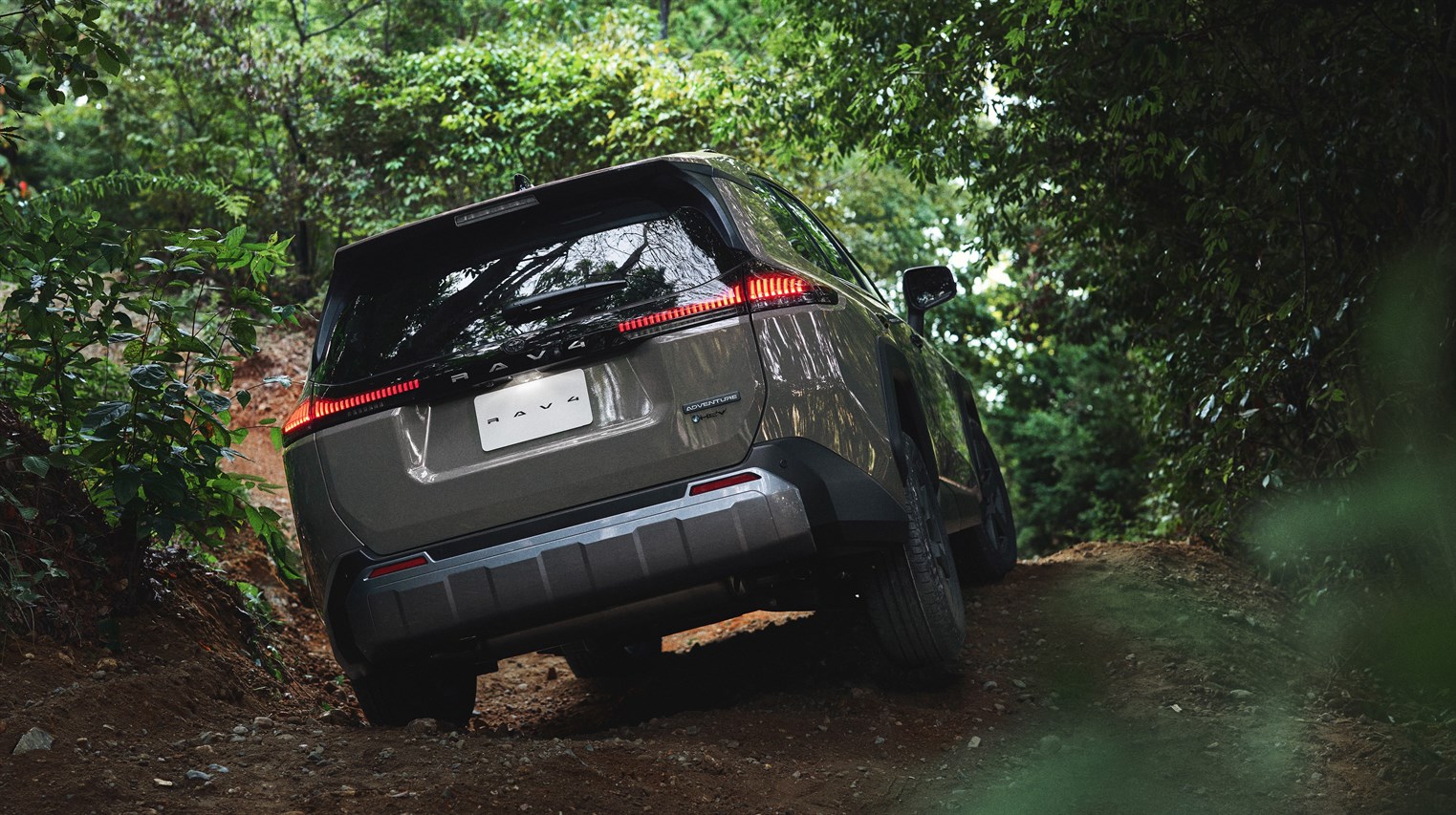 新型RAV4のバックショット