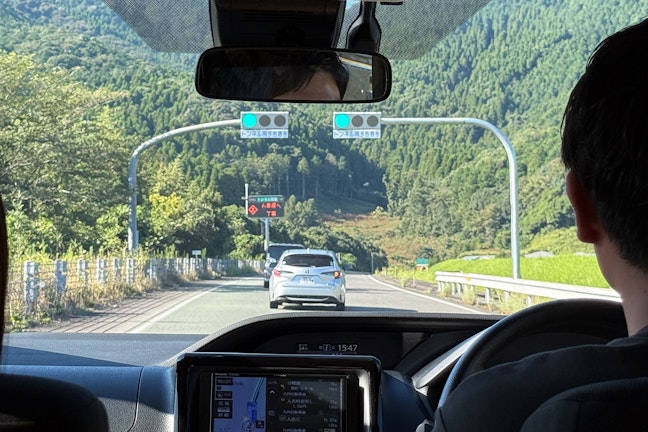 「ロードキルとは？」動物と事故！ぶつかってしまった時の対処法と罰則を解説