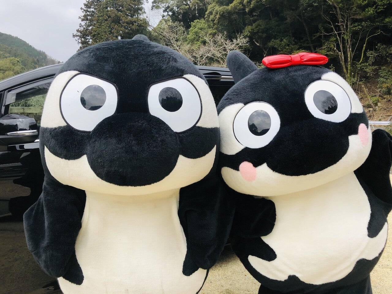 J1名古屋グランパス BIGグランパスくんぬいぐるみ 特大グランパスくん 名古屋グランパス BIGグランパスくん（スター）｜【公式】J