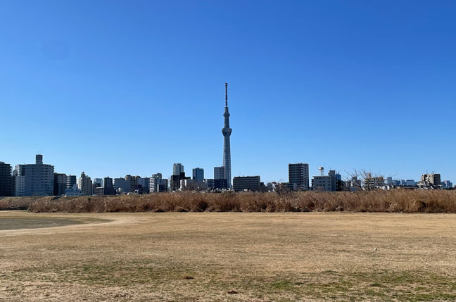サッカー場からスカイツリーを望む