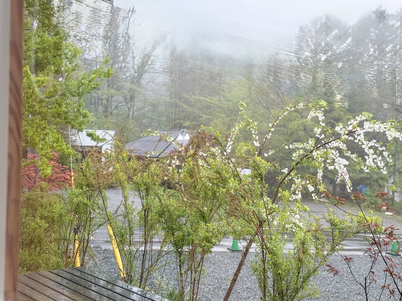 雨の風景