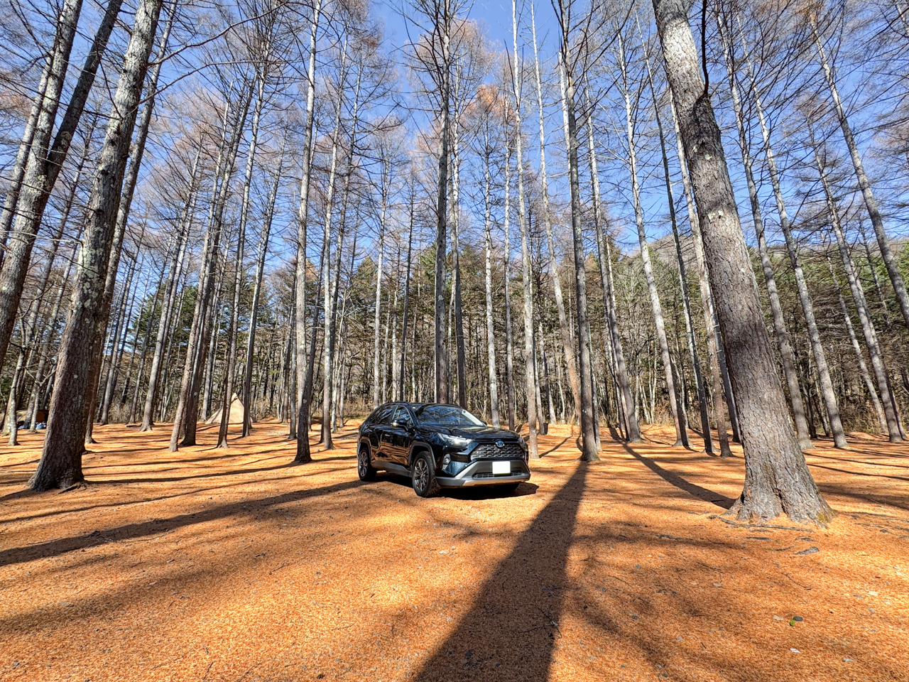 キャンプ場の中にあるRAV4