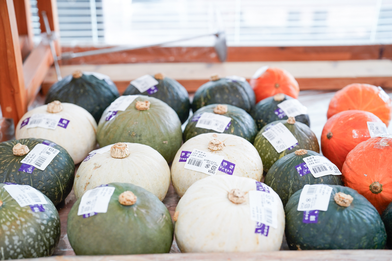 カボチャの写真
