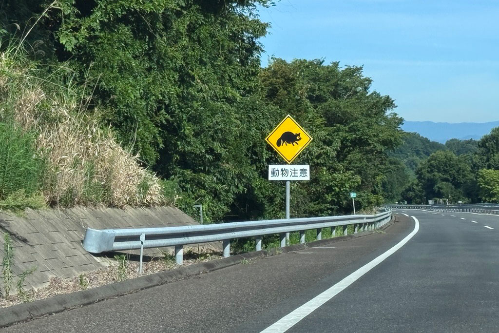 タヌキ注意の看板